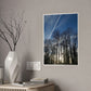 Sunny day Poster