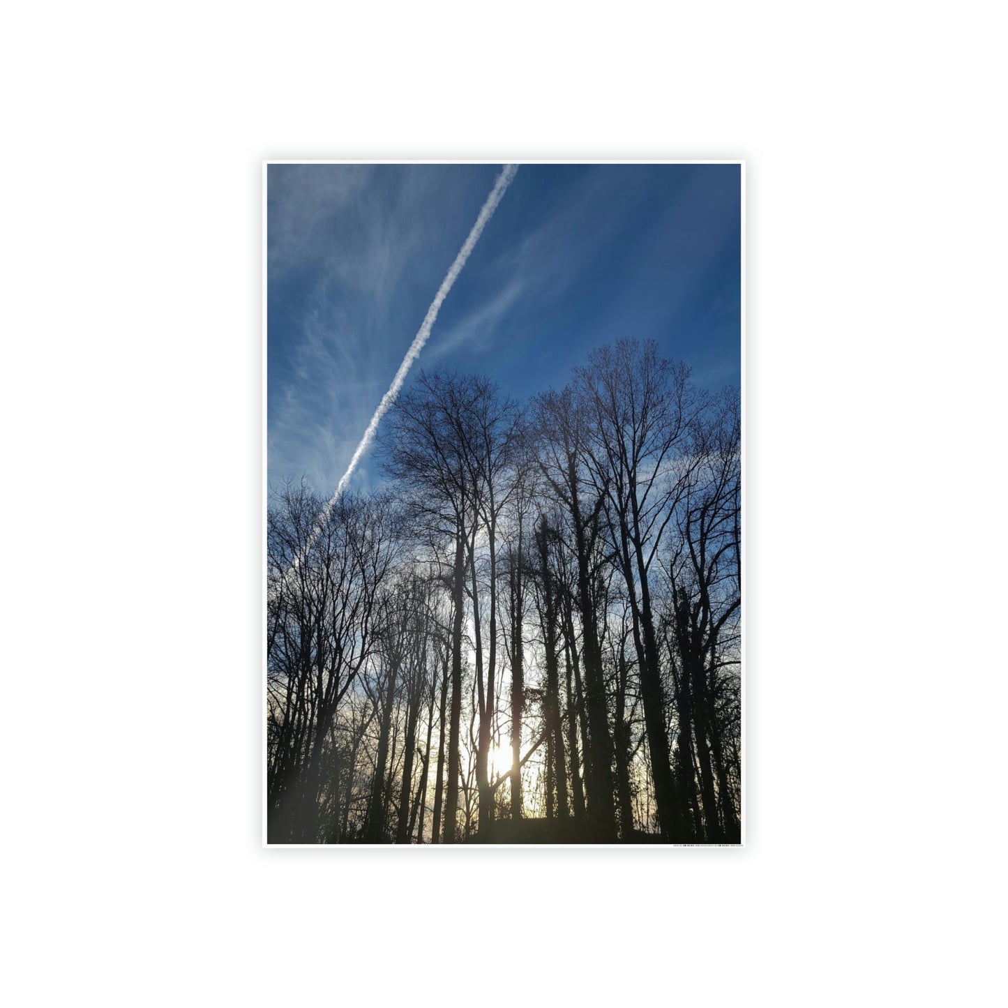 Sunny day Poster