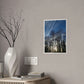 Sunny day Poster