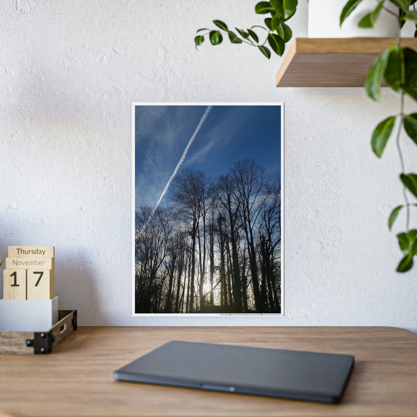 Sunny day Poster