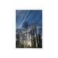 Sunny day Poster